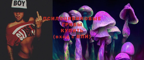 дмт Беломорск