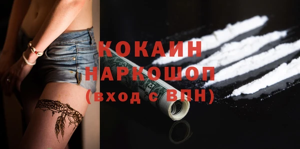 тгк Богородицк