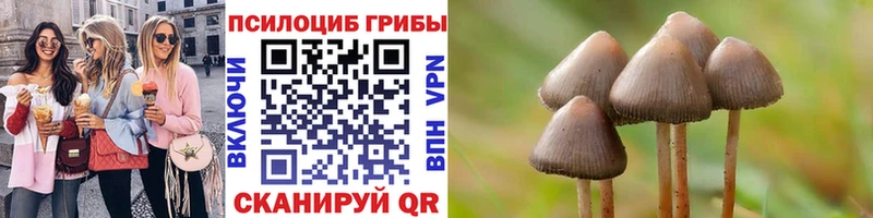 Купить где  Маркс  Галлюциногенные грибы мицелий 